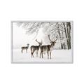 Picture of Winter Deers _GroupedProduct_Rectangle_Landscape_Photography _GroupedProduct_Rectangle_Landscape_Framed_Matted_