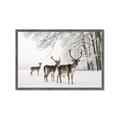 Picture of Winter Deers _GroupedProduct_Rectangle_Landscape_Photography _GroupedProduct_Rectangle_Landscape_Framed_Matted_