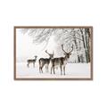 Picture of Winter Deers _GroupedProduct_Rectangle_Landscape_Photography _GroupedProduct_Rectangle_Landscape_Framed_Matted_