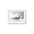 Picture of Winter Deers _GroupedProduct_Rectangle_Landscape_Photography _GroupedProduct_Rectangle_Landscape_Framed_Matted_