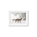 Picture of Winter Deers _GroupedProduct_Rectangle_Landscape_Photography _GroupedProduct_Rectangle_Landscape_Framed_Matted_