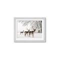 Picture of Winter Deers _GroupedProduct_Rectangle_Landscape_Photography _GroupedProduct_Rectangle_Landscape_Framed_Matted_