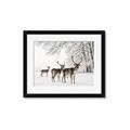 Picture of Winter Deers _GroupedProduct_Rectangle_Landscape_Photography _GroupedProduct_Rectangle_Landscape_Framed_Matted_