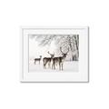 Picture of Winter Deers _GroupedProduct_Rectangle_Landscape_Photography _GroupedProduct_Rectangle_Landscape_Framed_Matted_