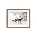 Picture of Winter Deers _GroupedProduct_Rectangle_Landscape_Photography _GroupedProduct_Rectangle_Landscape_Framed_Matted_
