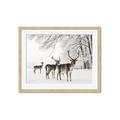Picture of Winter Deers _GroupedProduct_Rectangle_Landscape_Photography _GroupedProduct_Rectangle_Landscape_Framed_Matted_