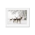 Picture of Winter Deers _GroupedProduct_Rectangle_Landscape_Photography _GroupedProduct_Rectangle_Landscape_Framed_Matted_