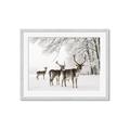 Picture of Winter Deers _GroupedProduct_Rectangle_Landscape_Photography _GroupedProduct_Rectangle_Landscape_Framed_Matted_