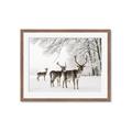 Picture of Winter Deers _GroupedProduct_Rectangle_Landscape_Photography _GroupedProduct_Rectangle_Landscape_Framed_Matted_