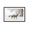 Picture of Winter Deers _GroupedProduct_Rectangle_Landscape_Photography _GroupedProduct_Rectangle_Landscape_Framed_Matted_