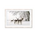 Picture of Winter Deers _GroupedProduct_Rectangle_Landscape_Photography _GroupedProduct_Rectangle_Landscape_Framed_Matted_