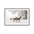 Picture of Winter Deers _GroupedProduct_Rectangle_Landscape_Photography _GroupedProduct_Rectangle_Landscape_Framed_Matted_