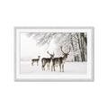 Picture of Winter Deers _GroupedProduct_Rectangle_Landscape_Photography _GroupedProduct_Rectangle_Landscape_Framed_Matted_