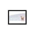 Picture of Winter Stag _GroupedProduct_Rectangle_Landscape_Framed_Matted_