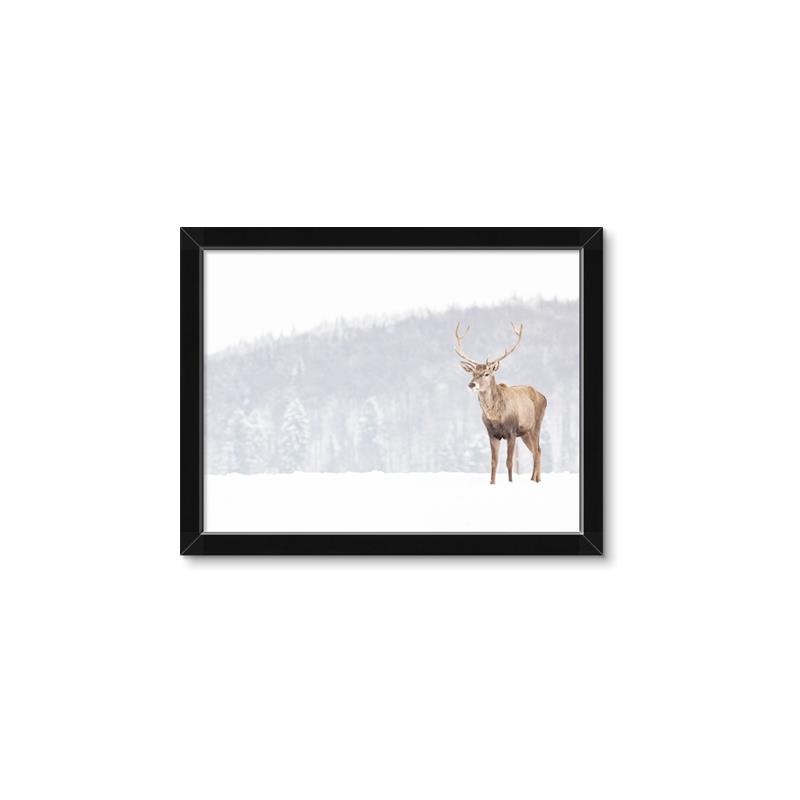 Picture of Winter Stag _GroupedProduct_Rectangle_Landscape_Framed_Matted_