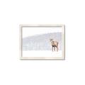 Picture of Winter Stag _GroupedProduct_Rectangle_Landscape_Framed_Matted_