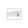 Picture of Winter Stag _GroupedProduct_Rectangle_Landscape_Framed_Matted_
