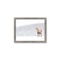 Picture of Winter Stag _GroupedProduct_Rectangle_Landscape_Framed_Matted_