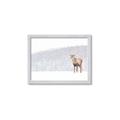 Picture of Winter Stag _GroupedProduct_Rectangle_Landscape_Framed_Matted_