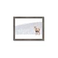 Picture of Winter Stag _GroupedProduct_Rectangle_Landscape_Framed_Matted_