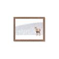 Picture of Winter Stag _GroupedProduct_Rectangle_Landscape_Framed_Matted_