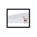 Picture of Winter Stag _GroupedProduct_Rectangle_Landscape_Framed_Matted_