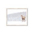 Picture of Winter Stag _GroupedProduct_Rectangle_Landscape_Framed_Matted_