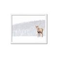 Picture of Winter Stag _GroupedProduct_Rectangle_Landscape_Framed_Matted_