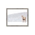 Picture of Winter Stag _GroupedProduct_Rectangle_Landscape_Framed_Matted_