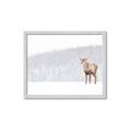 Picture of Winter Stag _GroupedProduct_Rectangle_Landscape_Framed_Matted_