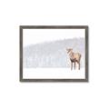 Picture of Winter Stag _GroupedProduct_Rectangle_Landscape_Framed_Matted_
