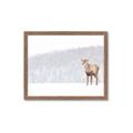 Picture of Winter Stag _GroupedProduct_Rectangle_Landscape_Framed_Matted_