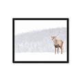 Picture of Winter Stag _GroupedProduct_Rectangle_Landscape_Framed_Matted_