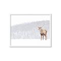 Picture of Winter Stag _GroupedProduct_Rectangle_Landscape_Framed_Matted_