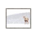Picture of Winter Stag _GroupedProduct_Rectangle_Landscape_Framed_Matted_