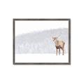 Picture of Winter Stag _GroupedProduct_Rectangle_Landscape_Framed_Matted_