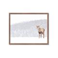 Picture of Winter Stag _GroupedProduct_Rectangle_Landscape_Framed_Matted_