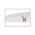Picture of Winter Stag _GroupedProduct_Rectangle_Landscape_Framed_Matted_
