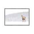 Picture of Winter Stag _GroupedProduct_Rectangle_Landscape_Framed_Matted_