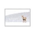 Picture of Winter Stag _GroupedProduct_Rectangle_Landscape_Framed_Matted_