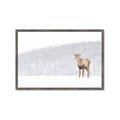 Picture of Winter Stag _GroupedProduct_Rectangle_Landscape_Framed_Matted_