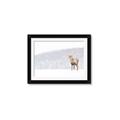 Picture of Winter Stag _GroupedProduct_Rectangle_Landscape_Framed_Matted_