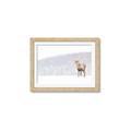Picture of Winter Stag _GroupedProduct_Rectangle_Landscape_Framed_Matted_