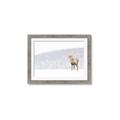 Picture of Winter Stag _GroupedProduct_Rectangle_Landscape_Framed_Matted_