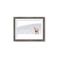 Picture of Winter Stag _GroupedProduct_Rectangle_Landscape_Framed_Matted_