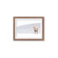 Picture of Winter Stag _GroupedProduct_Rectangle_Landscape_Framed_Matted_