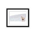 Picture of Winter Stag _GroupedProduct_Rectangle_Landscape_Framed_Matted_