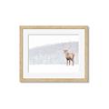 Picture of Winter Stag _GroupedProduct_Rectangle_Landscape_Framed_Matted_