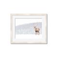 Picture of Winter Stag _GroupedProduct_Rectangle_Landscape_Framed_Matted_