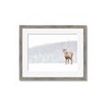 Picture of Winter Stag _GroupedProduct_Rectangle_Landscape_Framed_Matted_